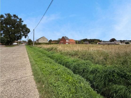Foto bouwgrond, Herselt Molenvloed