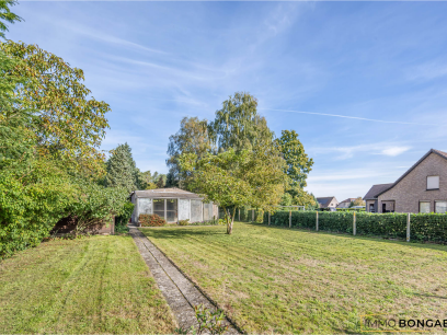 foto bouwgrond vanderheydenweg 68 3940 Hechtel