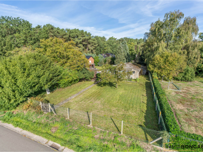 foto bouwgrond vanderheydenweg 68 3940 Hechtel