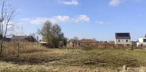 Foto bouwgron, klaverveld Balen